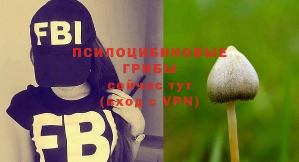 2c-b Арсеньев
