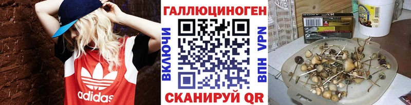купить наркотики сайты  Судогда  Псилоцибиновые грибы MAGIC MUSHROOMS 
